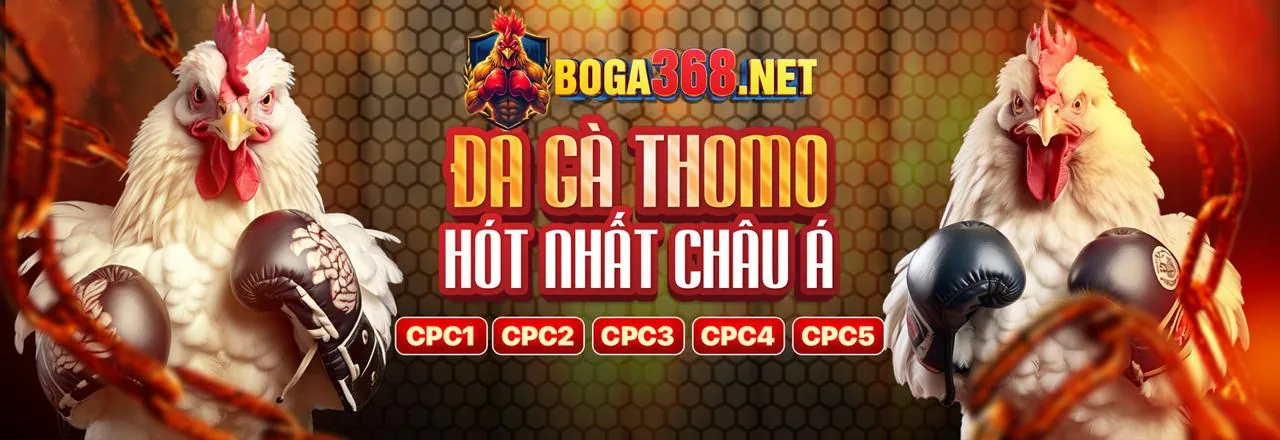 Đá gà trực tuyến 789b3 – Trận đấu gà hùng dũng